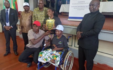 From Silence to Stitching Hope: How a Shurugwi Woman is Redefining Disability Through Art
