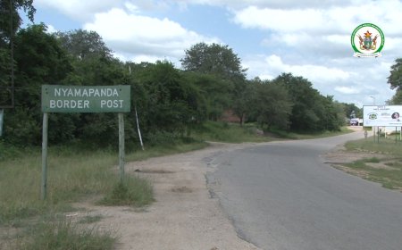 Nyamapanda Highway Bus Disaster Death Toll Rises to 17