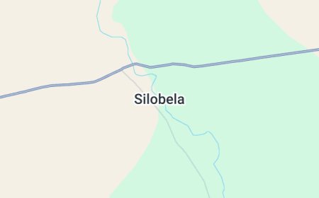 Silobela Man Dies after Attempting to Intervene in a Bar Fight