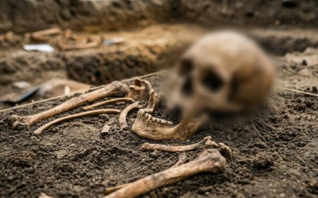 Human Remains Discovered at Silobela Mine