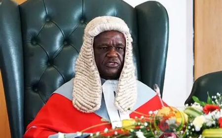 Chief Justice Luke Malaba Retires