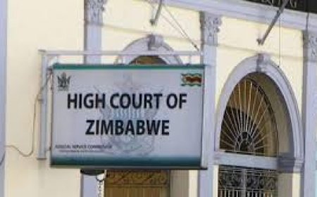 Zimbabwe’s Mental Health and Justice Collide as Man is Acquitted for Murder