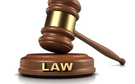 Judge Condemns “Brutal Violence” as Uncle Jailed Over Niece’s Death