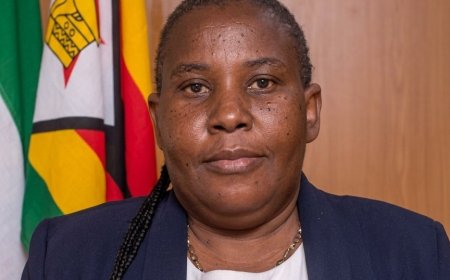 ZETDC Rejects Subsidised Electricity Tariffs for Local Authorities Citing Insolvency Risks