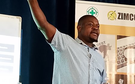 Rising Public Debt Stifling Zimbabwe’s Infrastructure and Social Services, Experts Warn