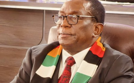 Mnangagwa Breaks Silence on Belarus Trip: A King  Does Not Announce His Movements