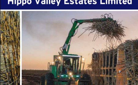 Deeply Rooted: How Hippo Valley Helped Build a Community, an Economy and a Legacy