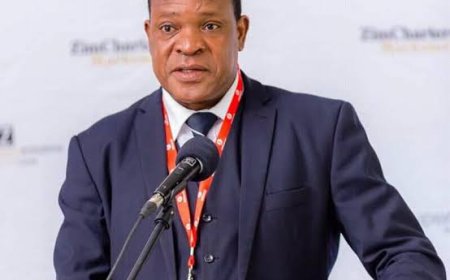 Zimbabwe to Declare State of Disaster Over Illegal Alluvial River Mining