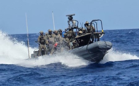 11 Australians Detained on Gaza Flotilla, Government Pressured to Act