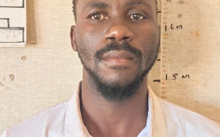Two Arrested for Gokwe Armed Robberies and Theft