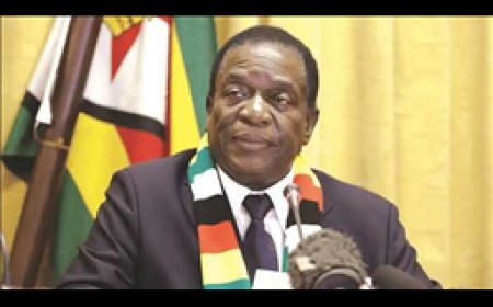 Mnangagwa Appoints New Health Service Commissioners
