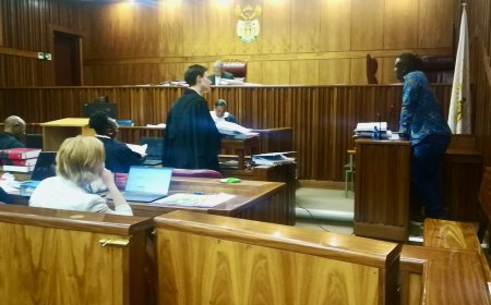 Zim Duo Given Multiple Life Sentences for Murder,  Robbery in South Africa