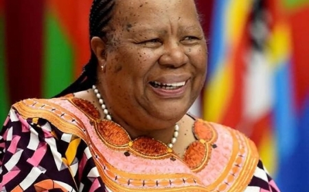 South African Former Minister Robbed at Gunpoint in Pretoria Home