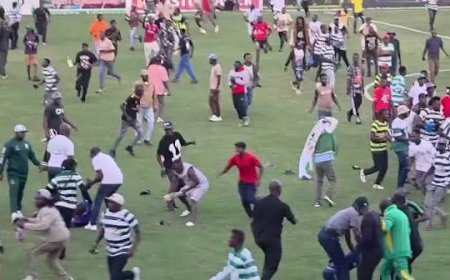Four Arrested as Hardrock FC, Dynamos Match Descended into Violence at Chahwanda Stadium