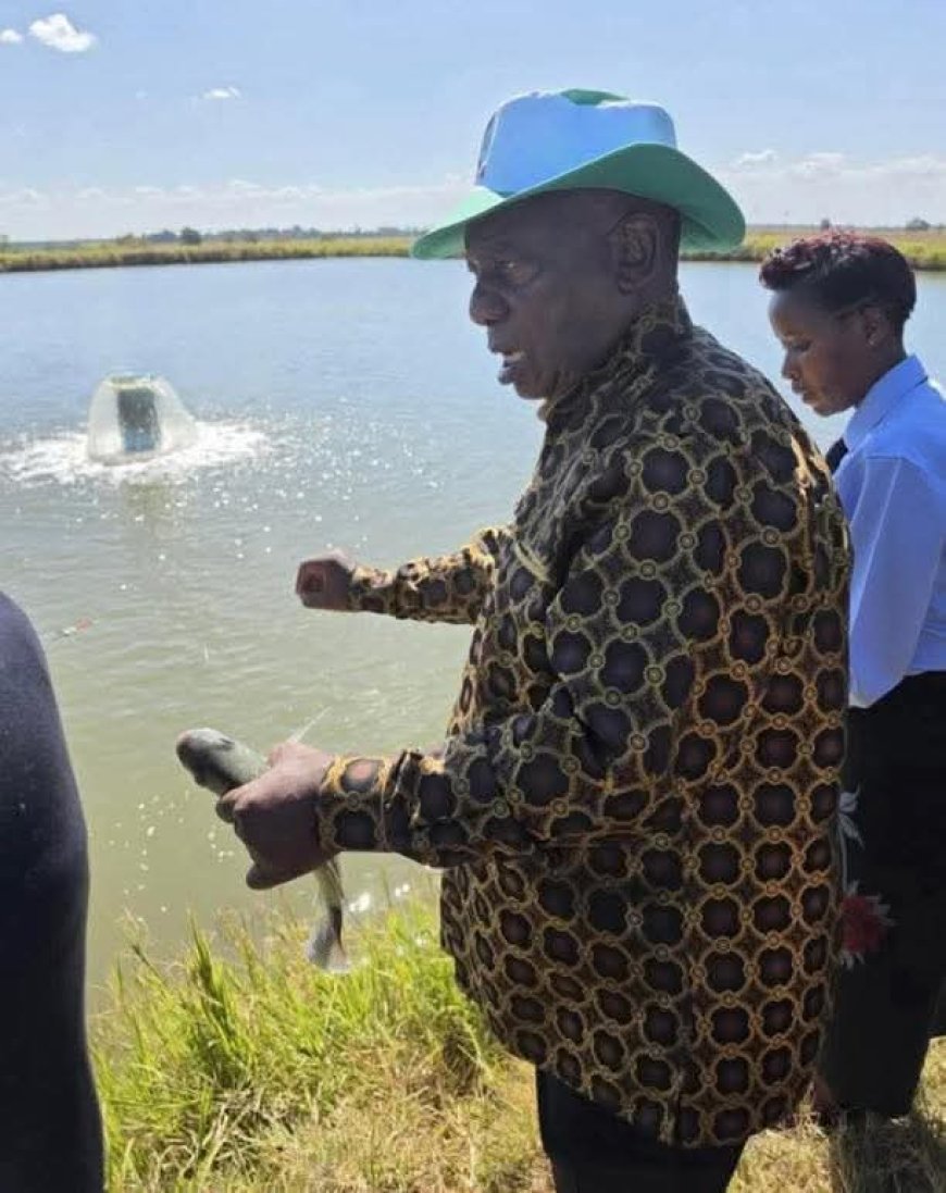 Ramaphosa’s Unannounced Mnangagwa Farm Visit Sparks Transparency Questions