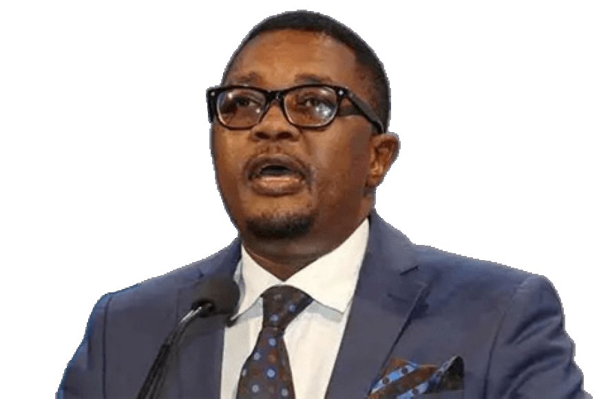 Mzembi Granted US$1,000 Bail Pending Judgment in US$2 Million Fraud Case