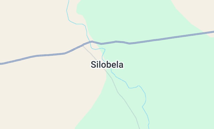 Silobela Man Dies after Attempting to Intervene in a Bar Fight
