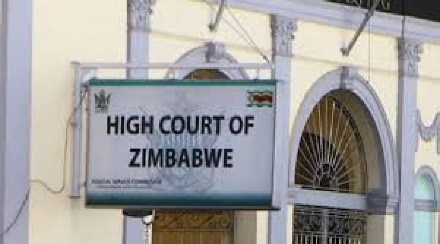 Zimbabwe’s Mental Health and Justice Collide as Man is Acquitted for Murder