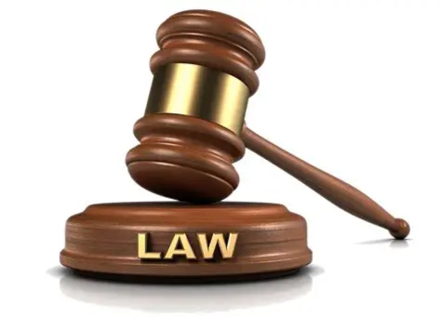Judge Condemns “Brutal Violence” as Uncle Jailed Over Niece’s Death