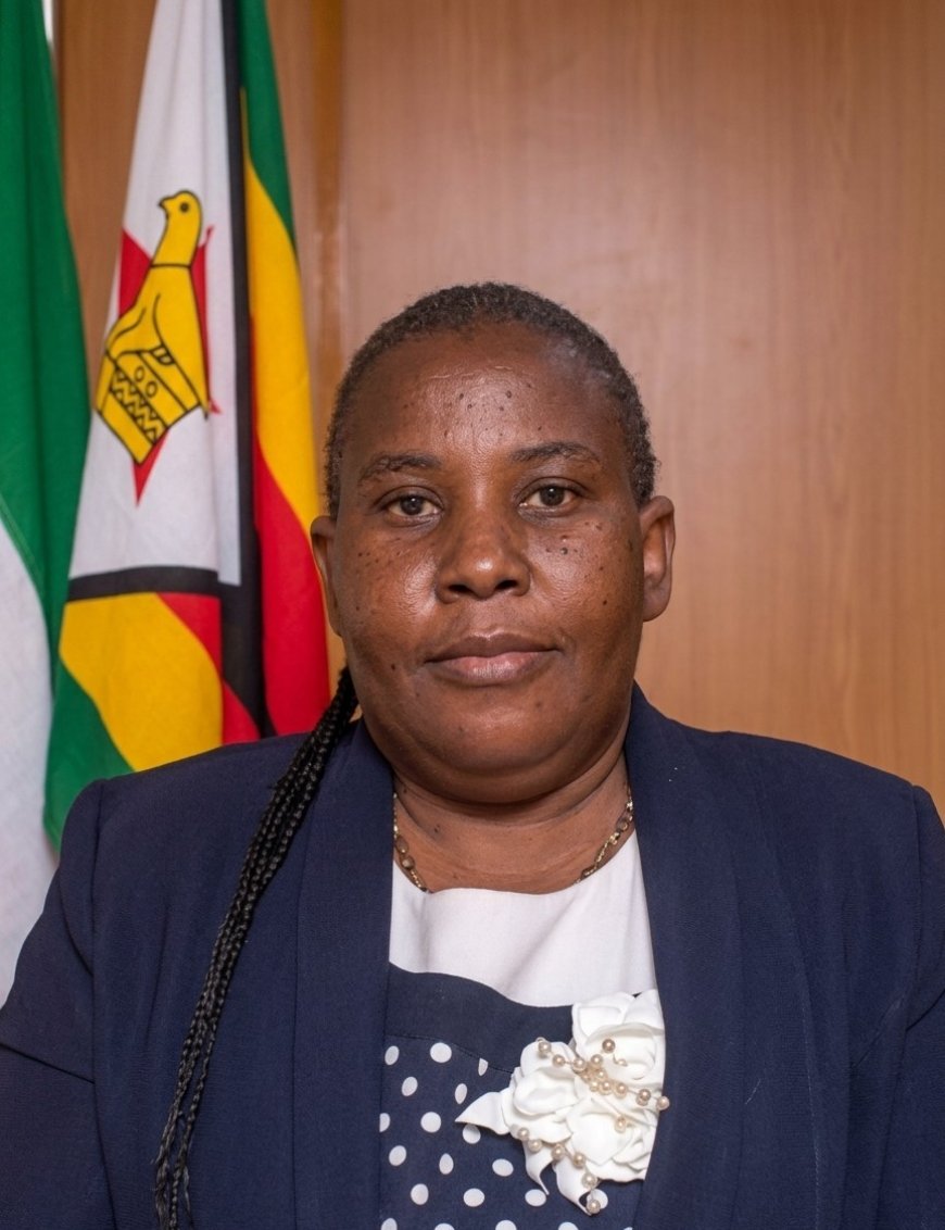 ZETDC Rejects Subsidised Electricity Tariffs for Local Authorities Citing Insolvency Risks