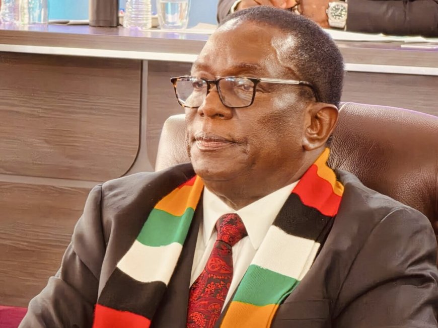 Mnangagwa Breaks Silence on Belarus Trip: A King  Does Not Announce His Movements