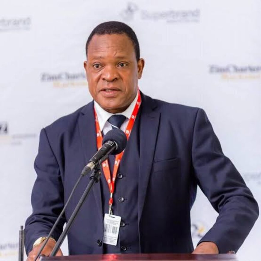 Zimbabwe to Declare State of Disaster Over Illegal Alluvial River Mining