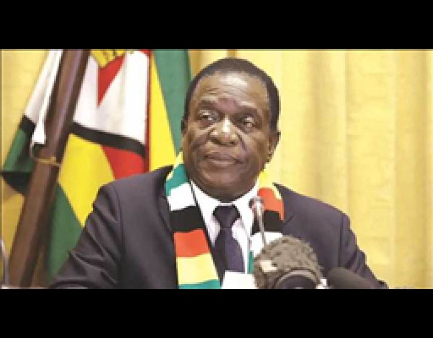Mnangagwa Appoints New Health Service Commissioners