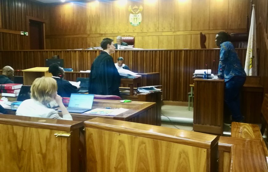 Zim Duo Given Multiple Life Sentences for Murder,  Robbery in South Africa