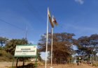 Villagers Lose Faith in Justice System Over Controversial Stock Theft Acquittal in Shurugwi