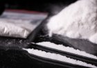 South African Police Seize US$2.1 Million Worth of Cocaine Hidden in Excavators from Brazil
