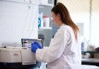 ACT Drug Labs Face Shutdown Over Forensic Scientists Strike