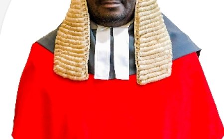 ZANU PF Simbi Couple Acquitted in High Court Land Fraud Case