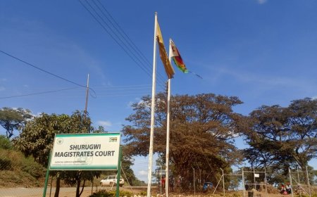 Villagers Lose Faith in Justice System Over Controversial Stock Theft Acquittal in Shurugwi