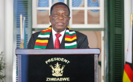Mnangagwa Signs Constitutional Amendment No. 3 Into Law