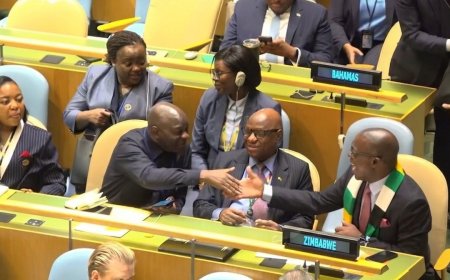 Zimbabwe Secures UN Security Council Seat with Overwhelming Support