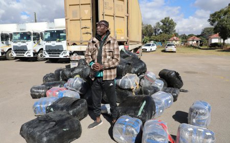 Zimbabwe Police Escalate Anti-Drug Operations, Multi-Million Dollar Contrabands Intercepted Across Zimbabwe