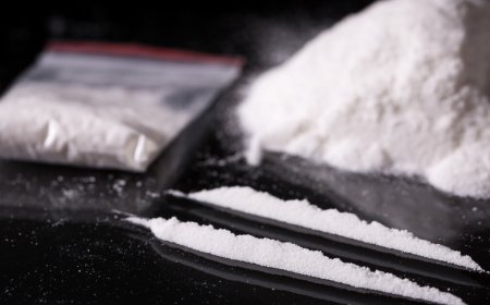 South African Police Seize US$2.1 Million Worth of Cocaine Hidden in Excavators from Brazil