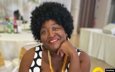 Zimbabwe Diaspora Community Condemns Submission Omission from Parliament CAB3 Report, Demands Inclusion
