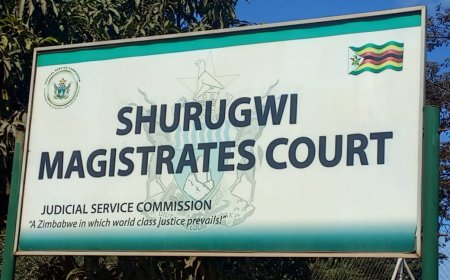 Shurugwi Man in Court for Murder