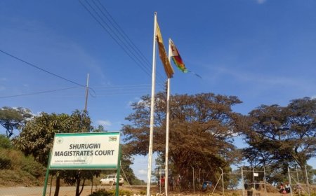 Two Shurugwi Villagers Fined For Illegal State Land Occupation