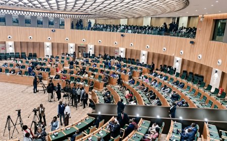CAB3 Undermines President’s Obligation to Citizens, Democracy Has No Price Tag — Hon. Kuka