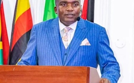 Pray, Fast for President Mnangagwa: Prophet Ian Ndlovu Warns Zimbabweans