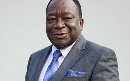 Matemadanda's Death Further Thins 2017 Political Transition Key Figures