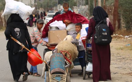 West Bank Violence Deepens as Settlement Expansion Fuels Displacement and International Alarm