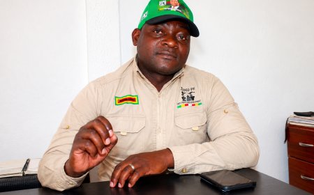 ZANU PF Intensifies Grassroots Mobilisation Ahead of National Cell Day