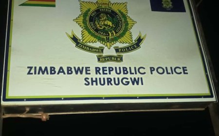 Shurugwi Man Arrested for Killing Nephew Over Sadza