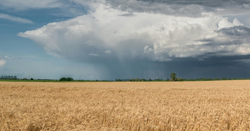Hailstorms Moving Toward Poles, Threatening Winter Crops