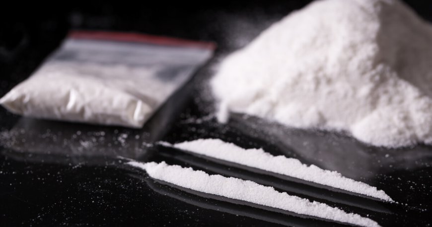 South African Police Seize US$2.1 Million Worth of Cocaine Hidden in Excavators from Brazil