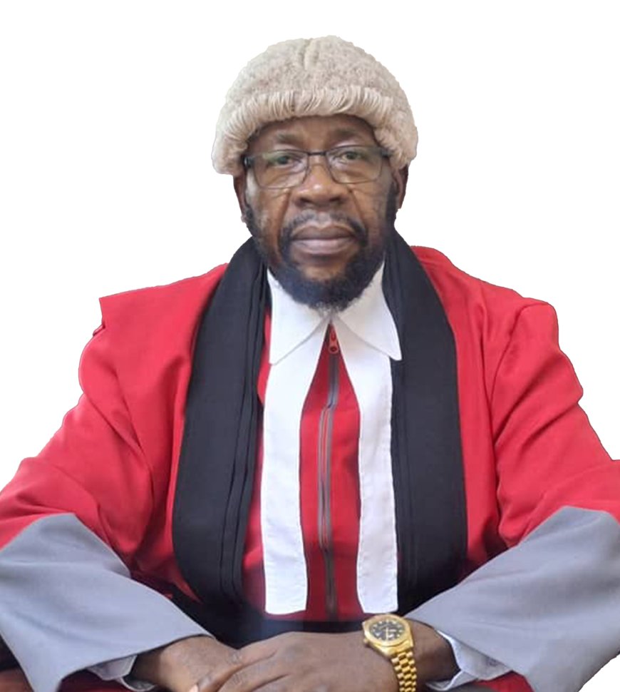 Justice Chivhayo Gives Life Sentences for Beitbridge, Mberengwa Murders