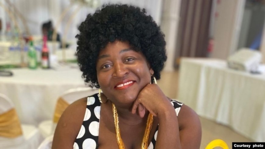 Zimbabwe Diaspora Community Condemns Submission Omission from Parliament CAB3 Report, Demands Inclusion
